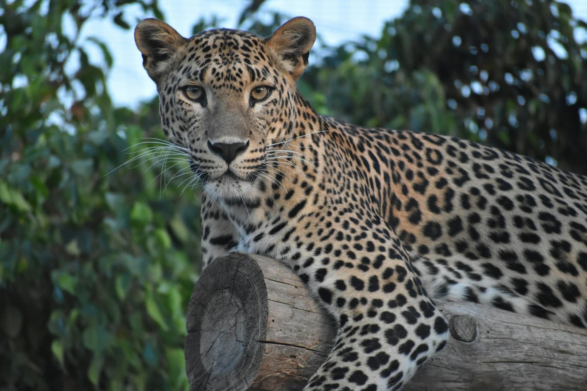 Terra Natura Murcia Ticket - image 3